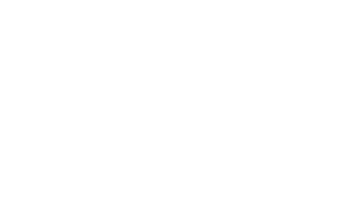 NESS Ingénierie